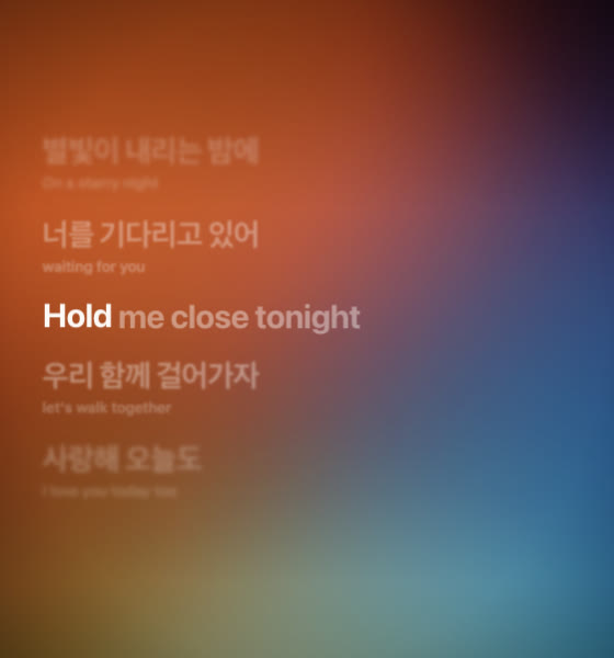 Korean lyrics with English translation under each line